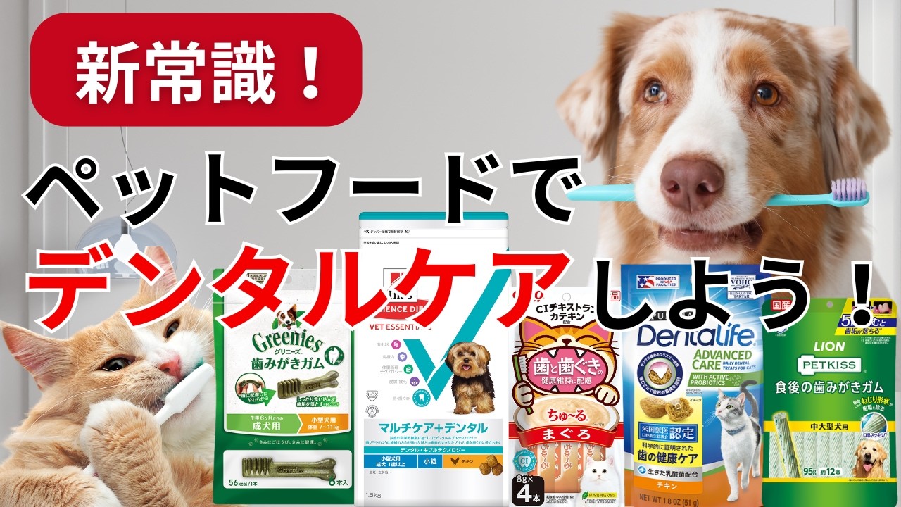 【ペットフード紹介】デンタルケアできるペットフードでお口の健康を守ろう！