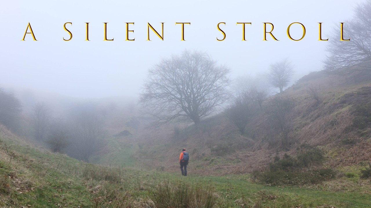 A Silent Stroll