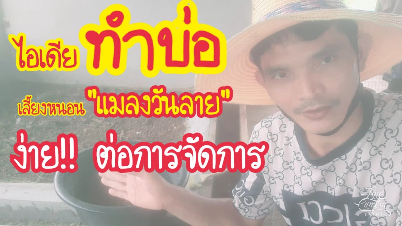 ทำบ่อเลี้ยง [ หนอนแมลงวันลาย ] ง่าย!! ต่อการจัดการ