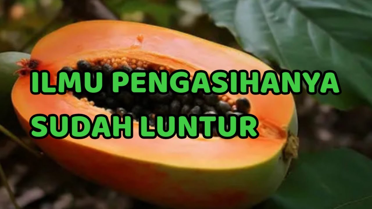 🎆 ILMU PENGASIHANYA LUNTUR 🎆