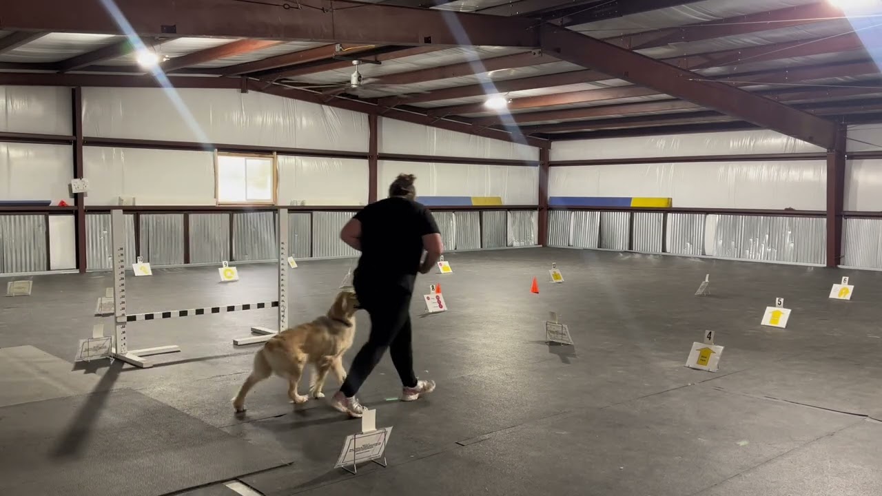 Ginny’s Advanced Rally Run #2