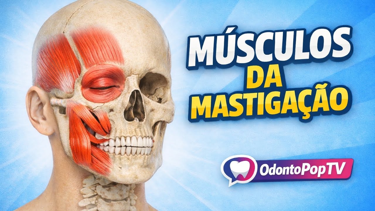 MÚSCULOS DA MASTIGAÇÃO | ODONTOPOPTV 