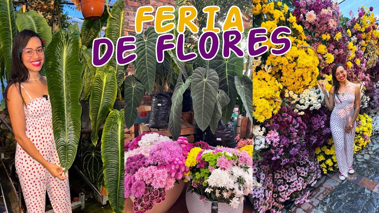 Vamos a una feria de flores y plantas, artesanías, comida típica │Candy Bu