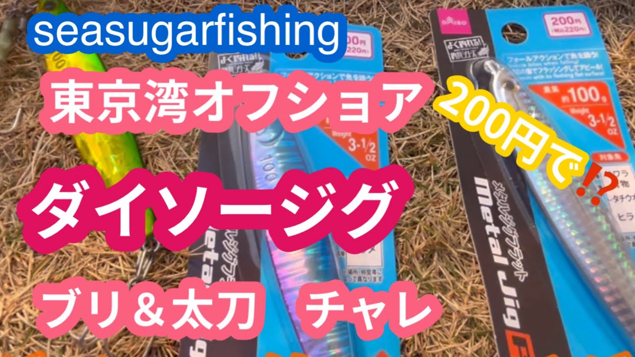 200円のダイソージグでブリ・タチウオ攻略！東京湾オフショア検証【seasugarfishing】2026年1月中旬