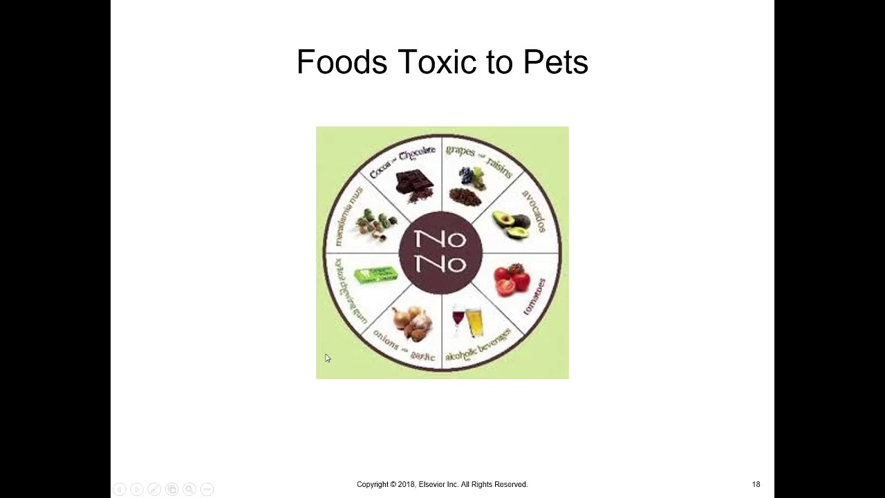 McCurnin'sChapter 27, Toxicology