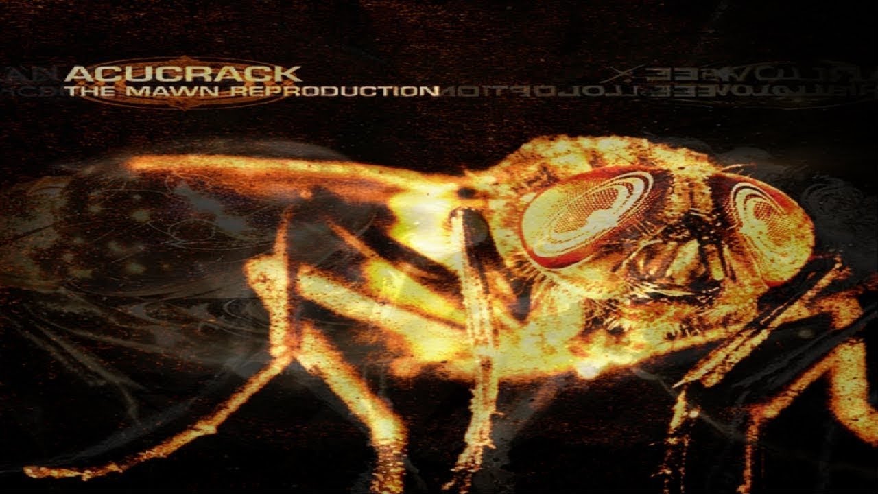 ACUCRACK - The Mawn Reproduction