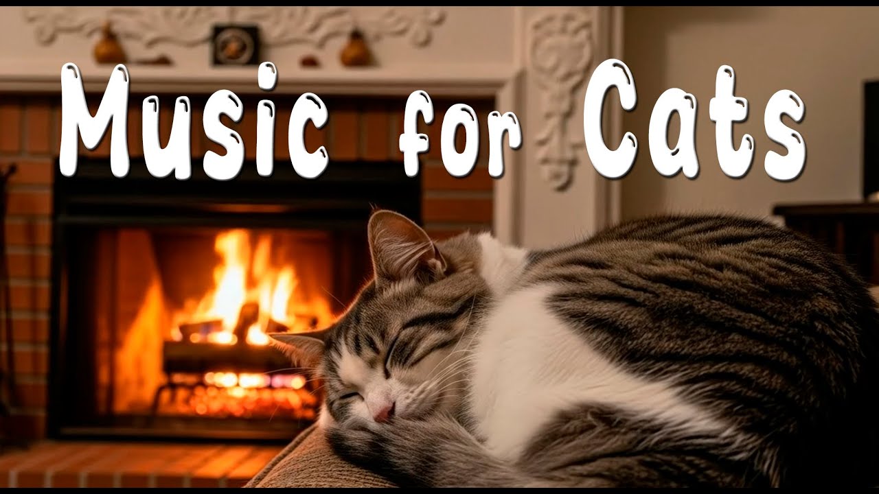 Relaxing Cat Music 🐈 Calming Cats Music for Deep Sleep, Healing, Antistress