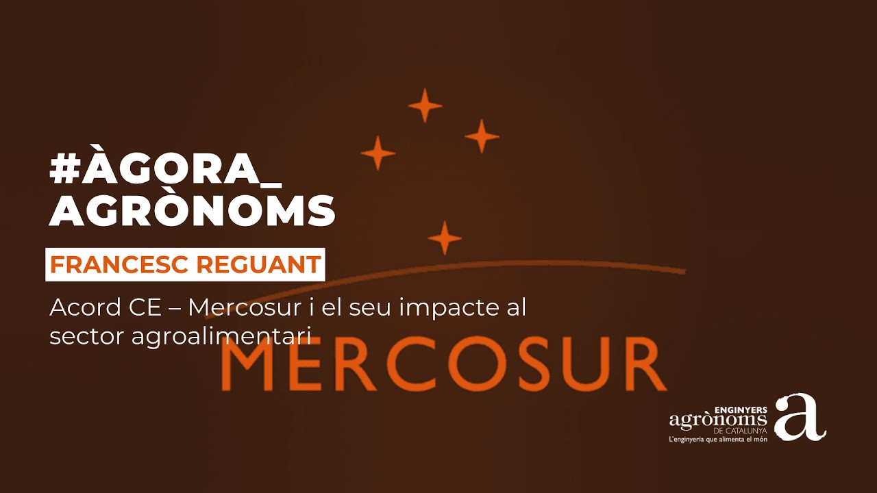 Acord CE – Mercosur i el seu impacte al sector agroalimentari