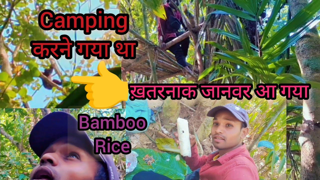My fast camping video//camping video//My fast vlog//#vlog #camping #jangal #camping video #Village. 