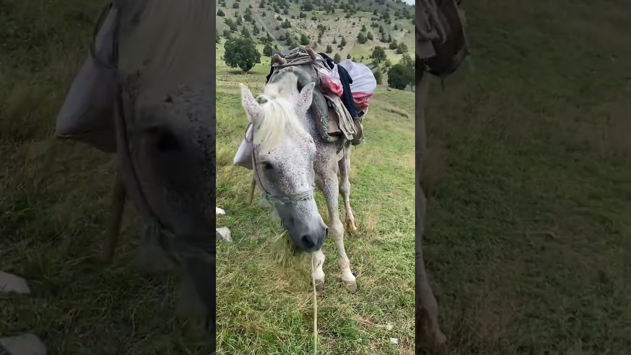 Dikyar köyü 2