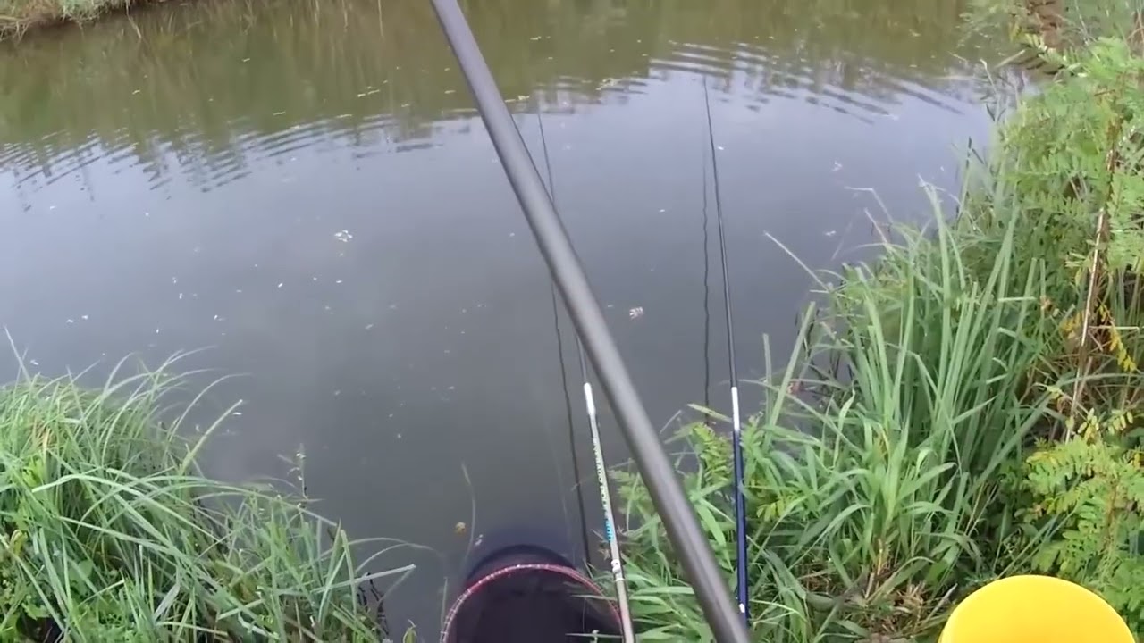 BABUSKARENJE