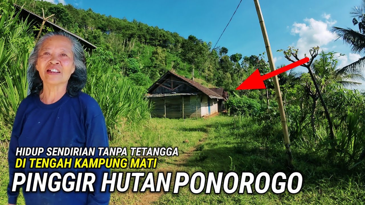 TAK ADA SATUPUN TETANGGA‼️NENEK INI HIDUP SENDIRIAN DI TENGAH KAMPUNG MATI PINGGIR HUTAN PONOROGO 