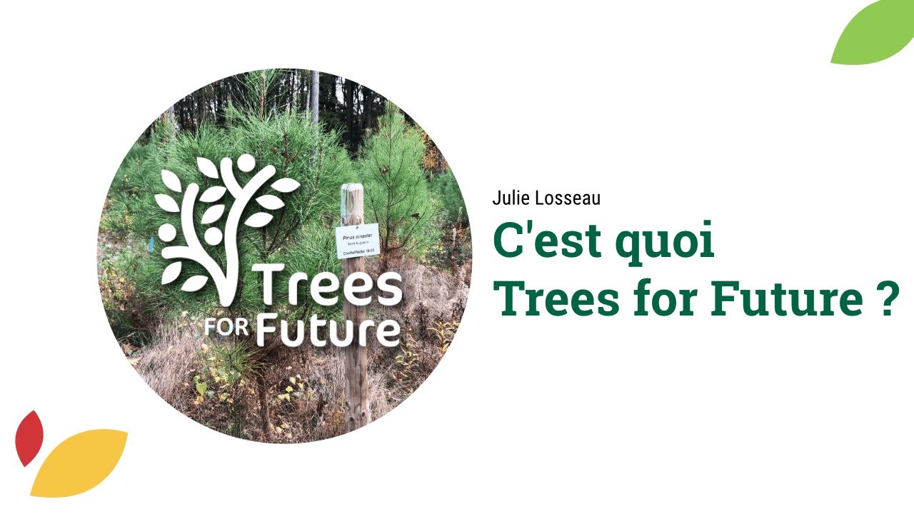C'est quoi Trees for Future ? (avec Julie Losseau)