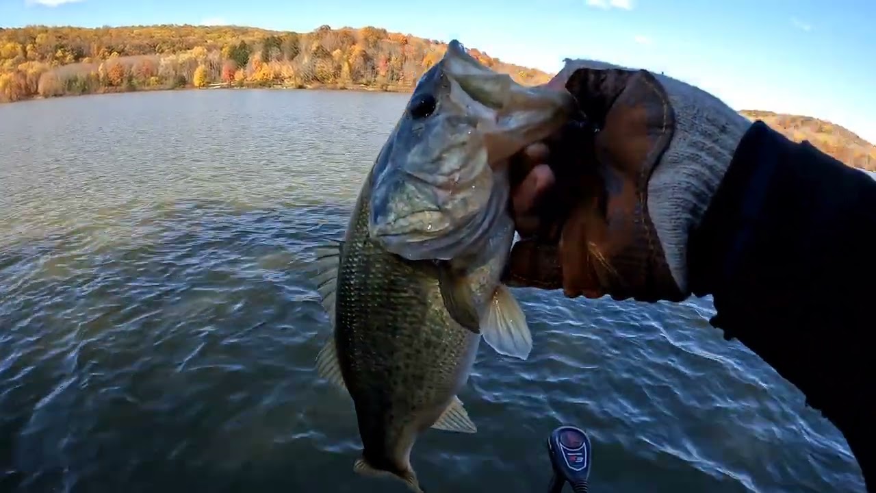 Post cold front fall bass fishing. (10/24/24)