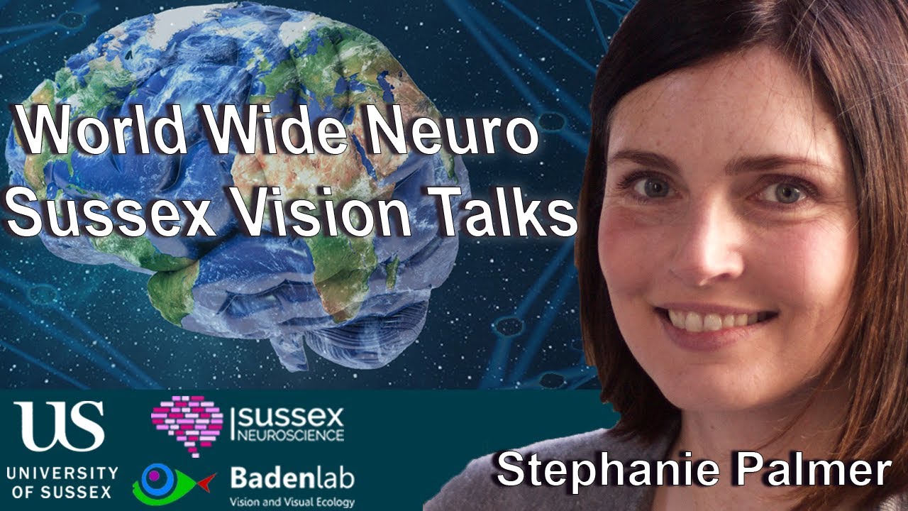 World Wide Neuro | Sussex Vision Series - 29/05/2023 - Prof. Stephanie Palmer