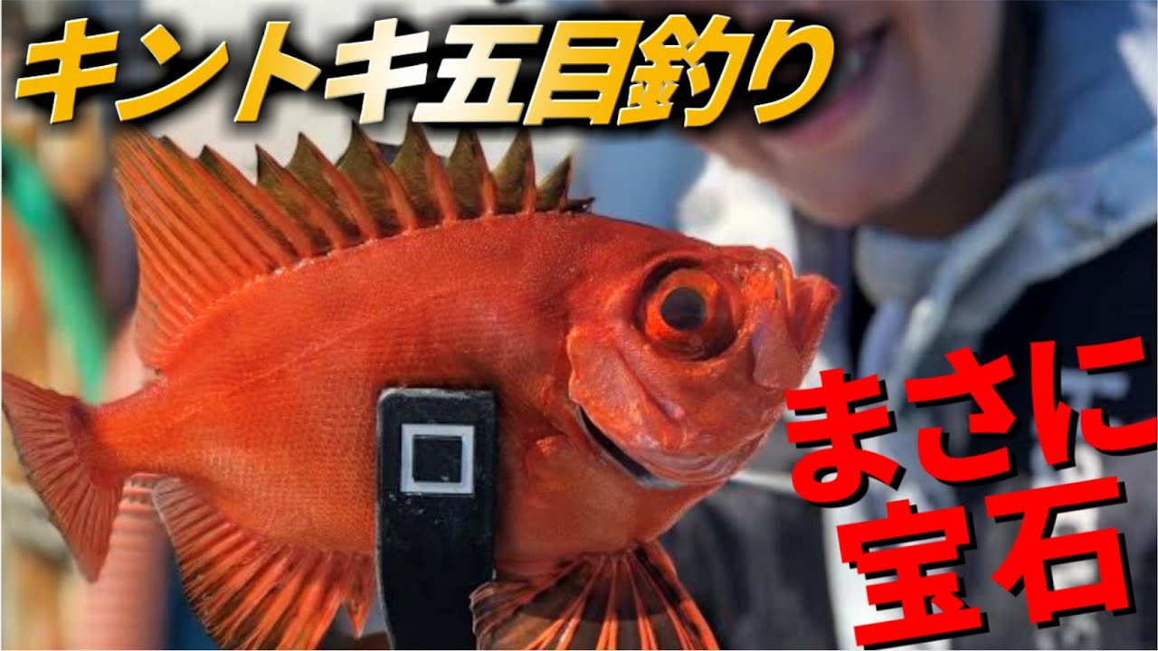 【キントキ五目釣り】まるで赤い宝石 強烈な引きのチカメキントキ!! しまや丸【五目船釣り】