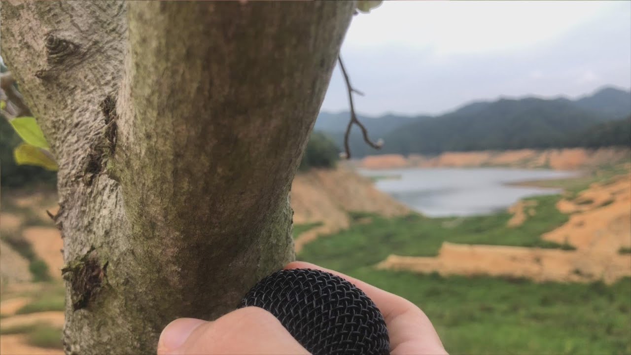 [ASMR] White Noise & Triggers in Nature