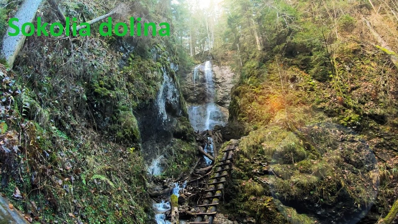 4K Nature walk Sokolia dolina