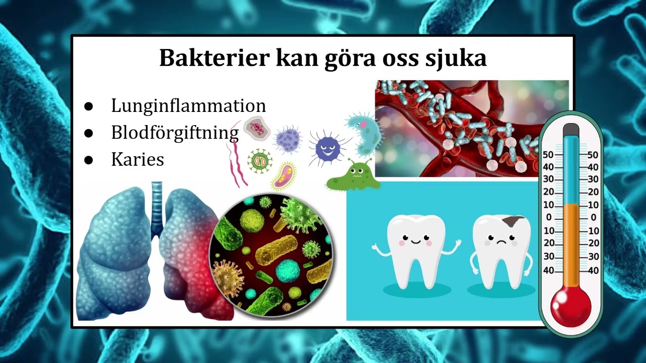 Lektion 1 - Bakterier och virus del 1