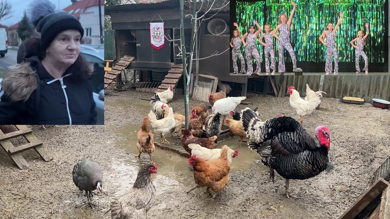 Hens-VLOGS :1224💃🏼