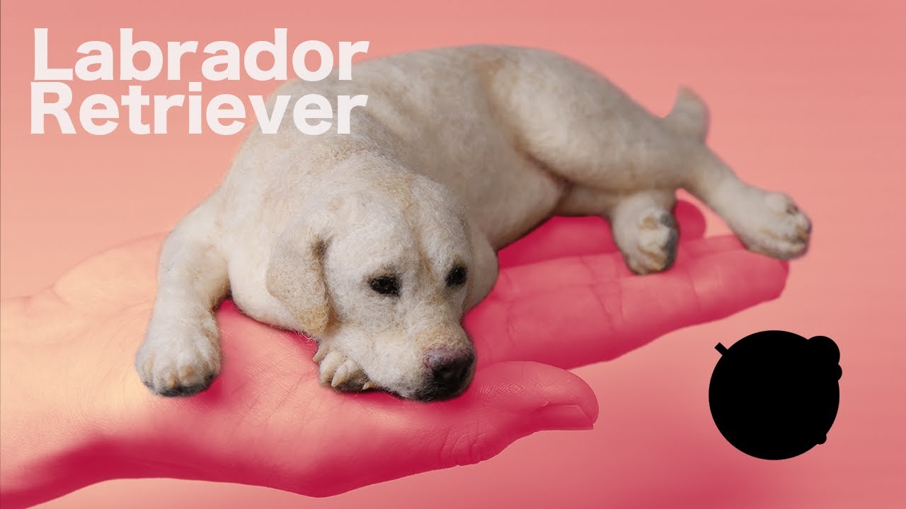 羊毛フェルトで作るラブラドールレトリバー　"Labrador retriever"The process of making with wool felt