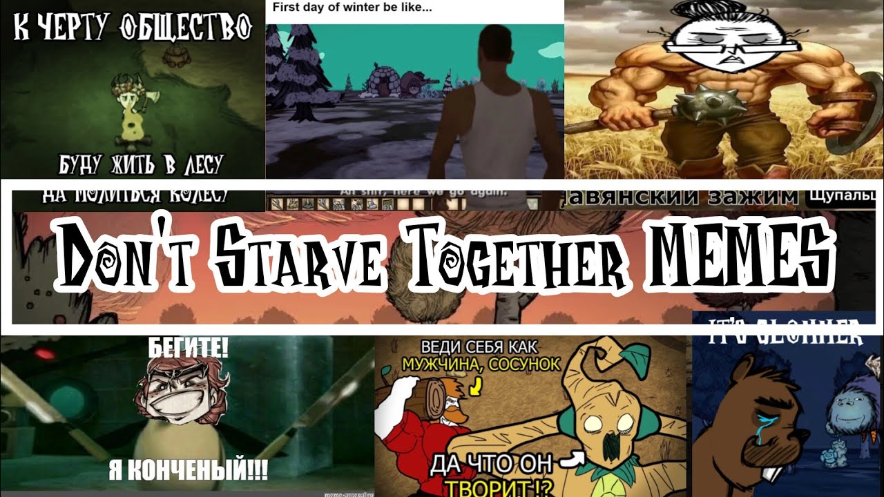 Мемы по Don't Starve Together 17