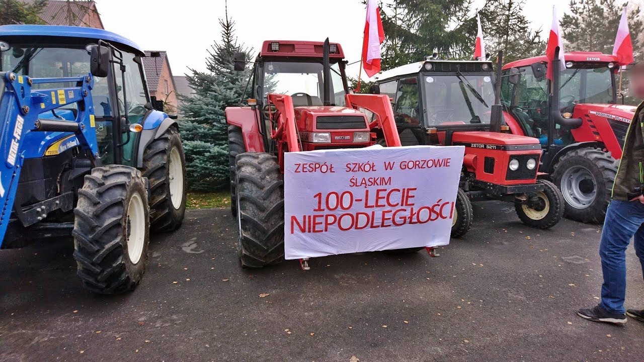 100-LECIE ODZYSKANIA NIEPODLEGŁOŚCI Zespół Szkół w Gorzowie Śląskim