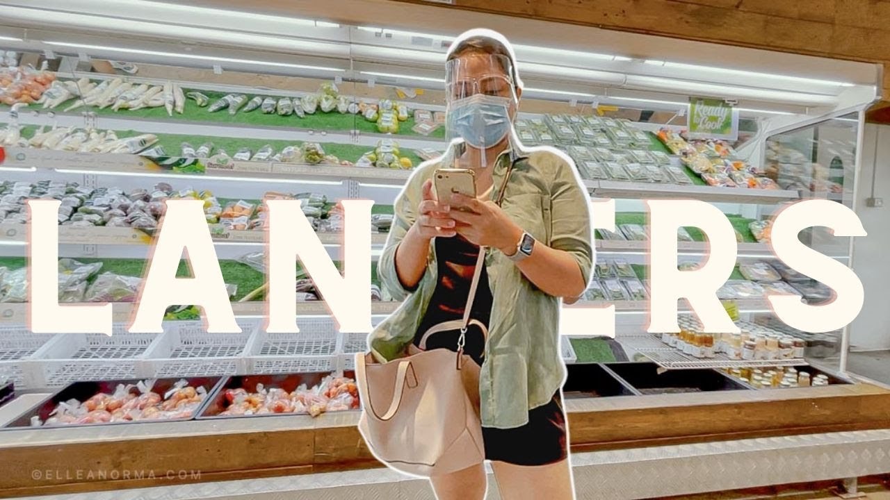 Landers Food and Grocery Shopping for New Year's Eve // Elle Anorma
