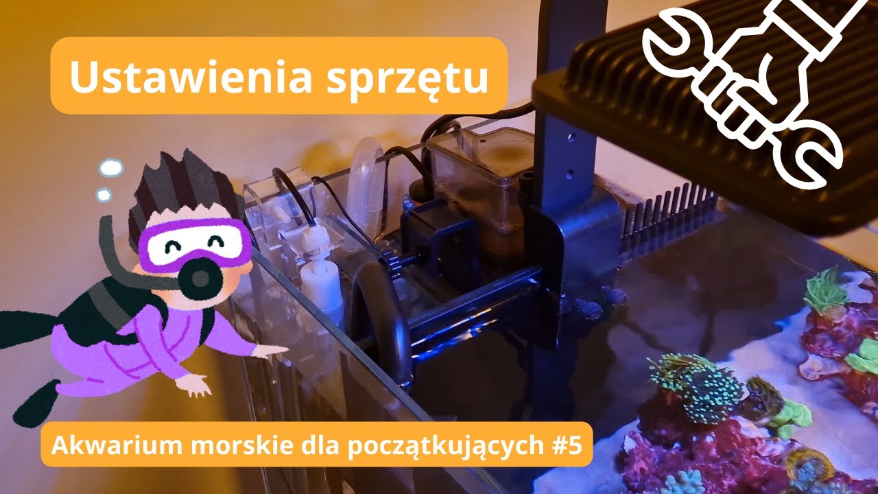 Jak ustawić sprzęt po uruchomieniu ReefHouse Set 30 🧑‍🔧Akwarium morskie dla początkujących #5