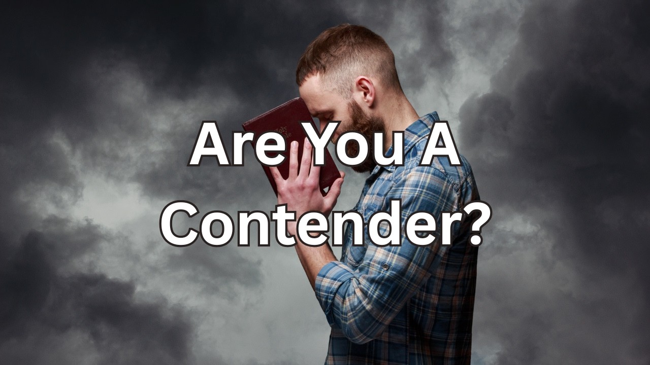 Are You a Contender? | The Watering Hole