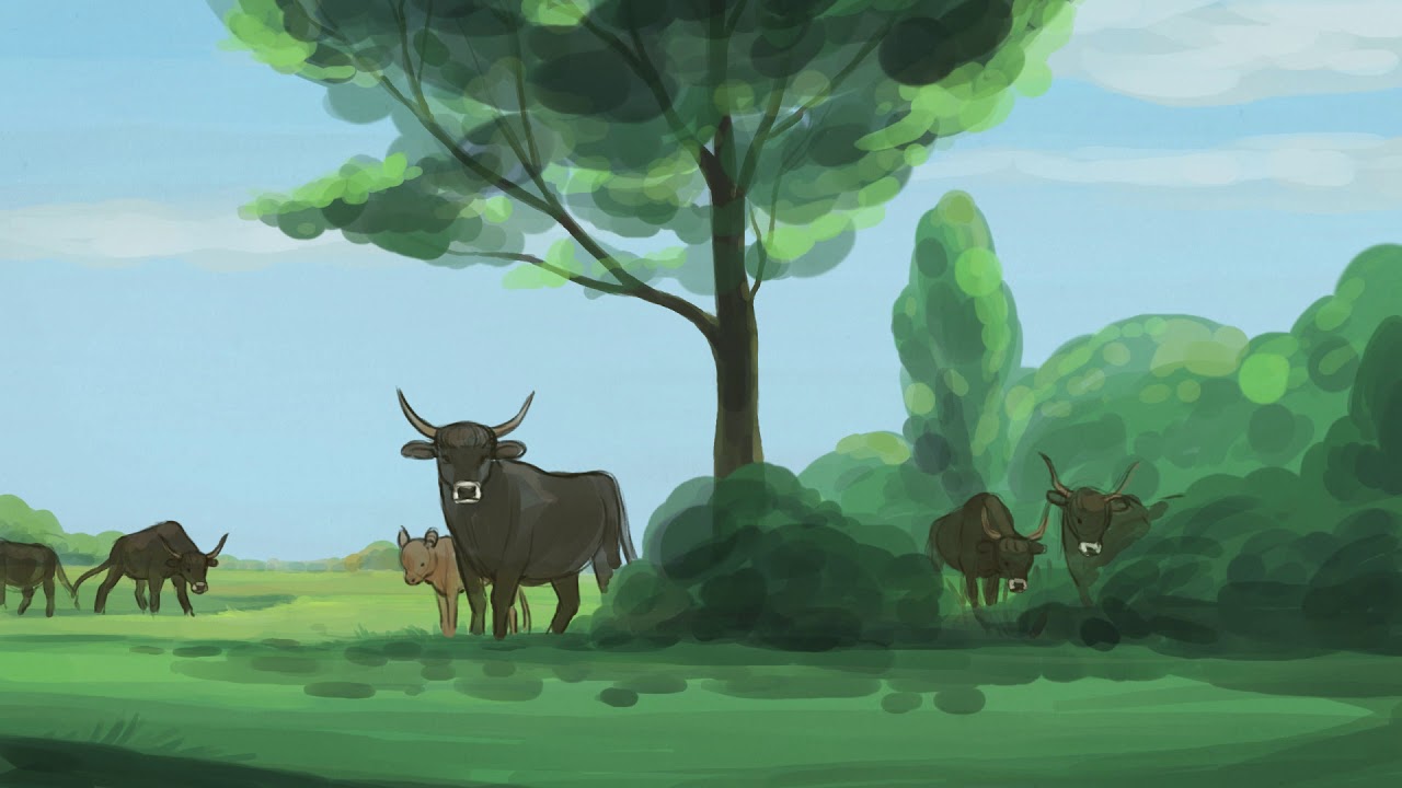 Provincie Flevoland - Animatie ontwikkeling landschap Oostvaardersplassen