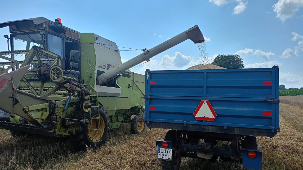 Jak Skosiłem 70 Hektarów W 7 Dni czyli Duże Żniwa Rozpoczęte Kosimy Żyto cz1