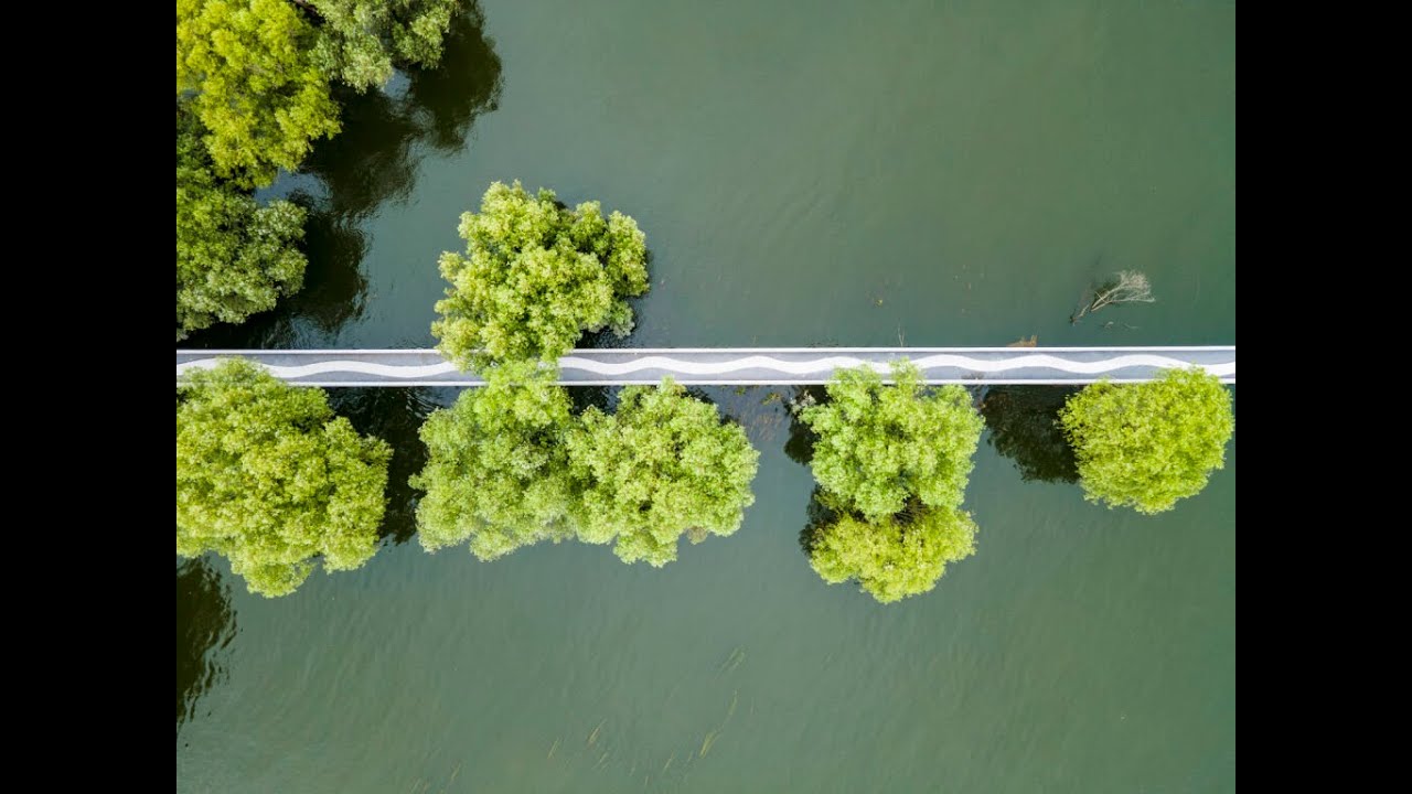 ADB Wetland video