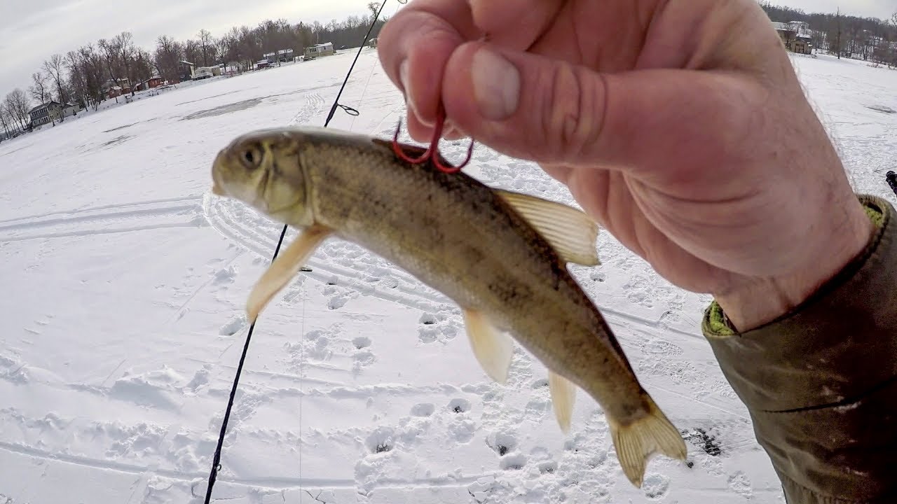 Ice Fishing Big Bait Pike And Bass!