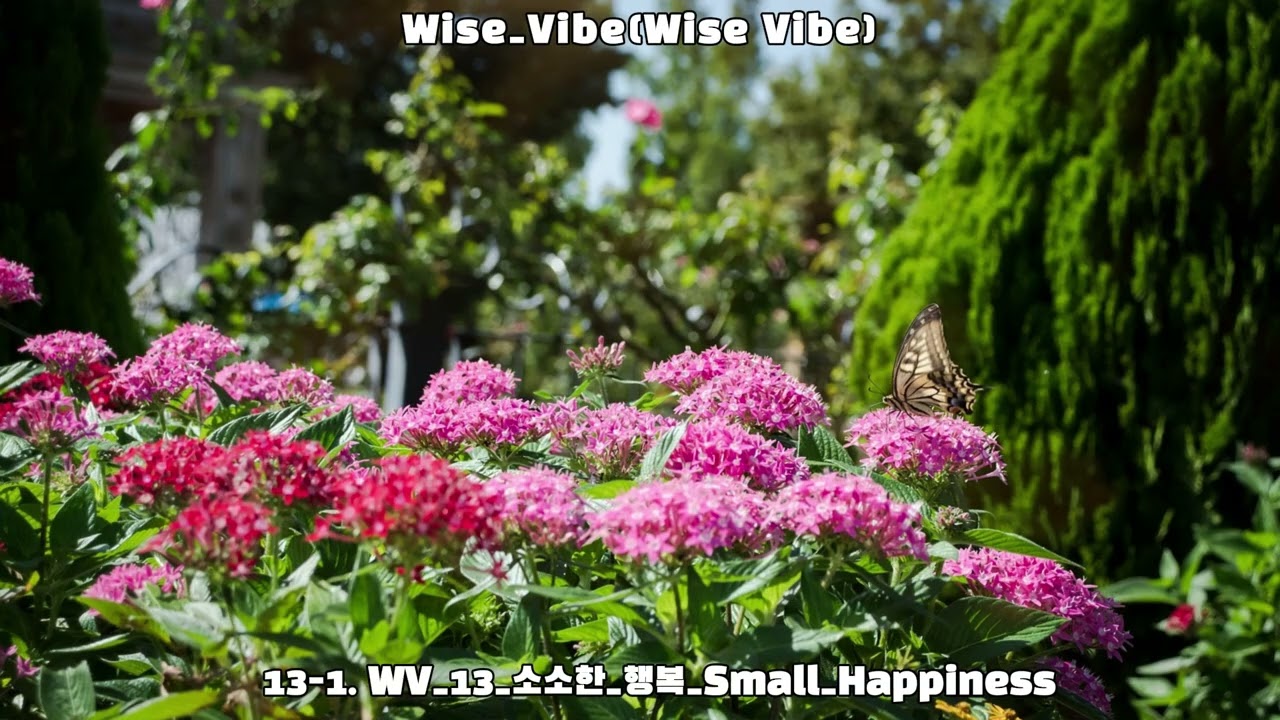 Cozy & Happy Life Ambience for Relaxation | 소소한 행복 | Wise Vibe 13-1