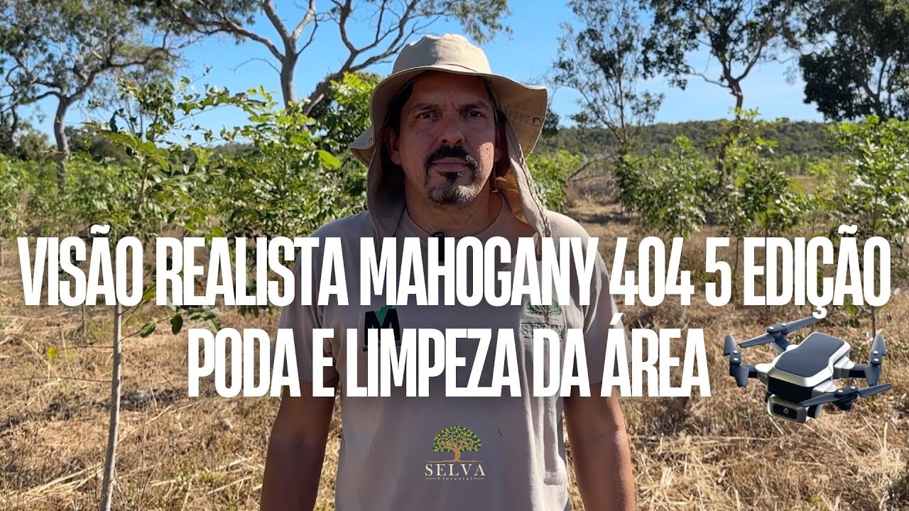 VIS&Atilde;O REALISTA MAHOGANY 404 5 EDI&Ccedil;&Atilde;O