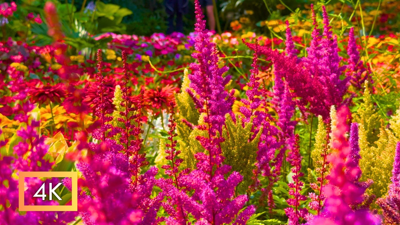 Incredible Flower Blooms of Mackinac Island, The Most Beautiful Garden Destination in the World! 🌺