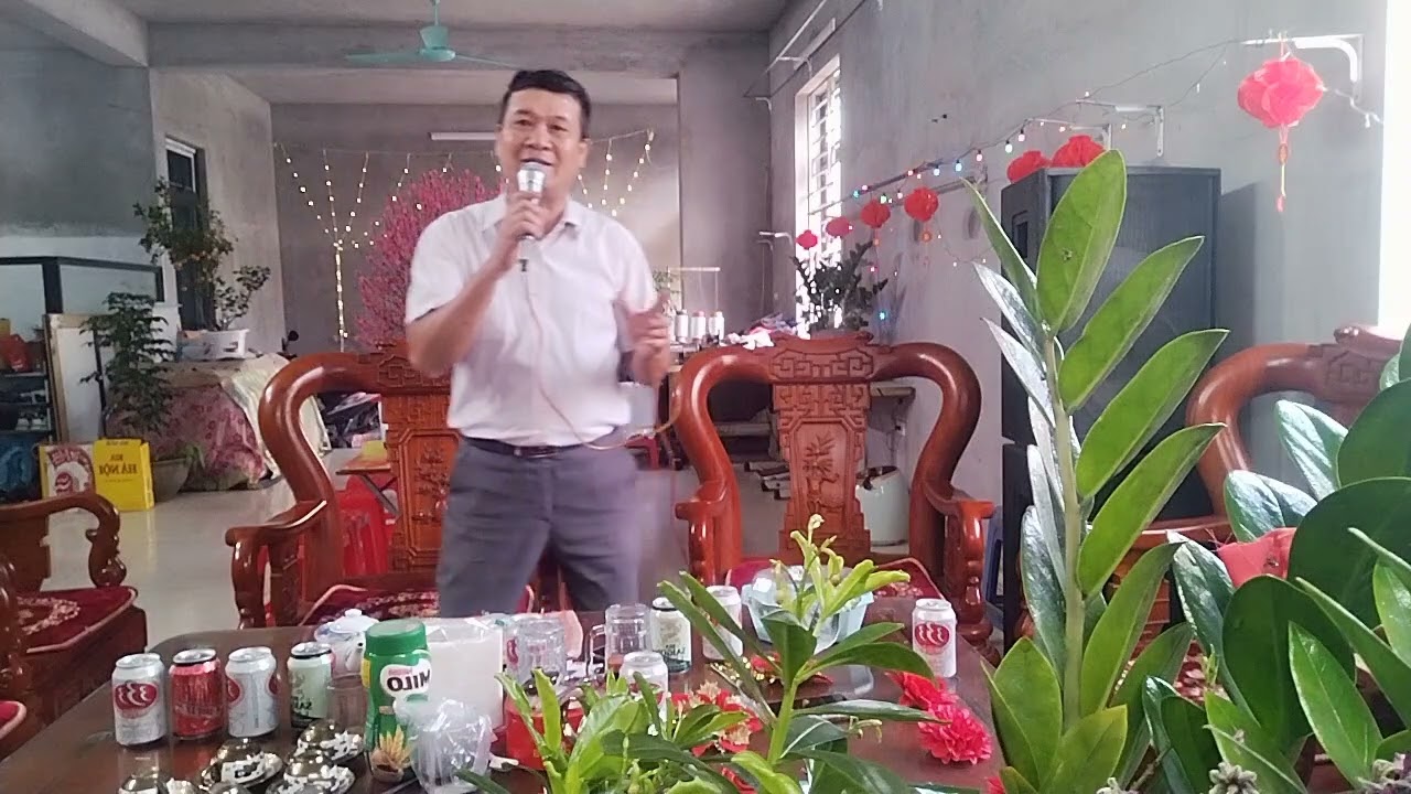 Trầu cánh phượng TB thái Hoà