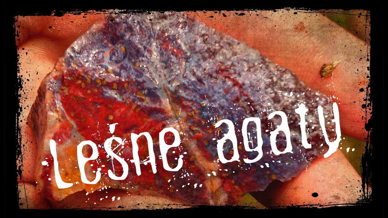 W poszukiwaniu skarbów natury - Leśne agaty / agaty na powierzchni / agaty w lesie