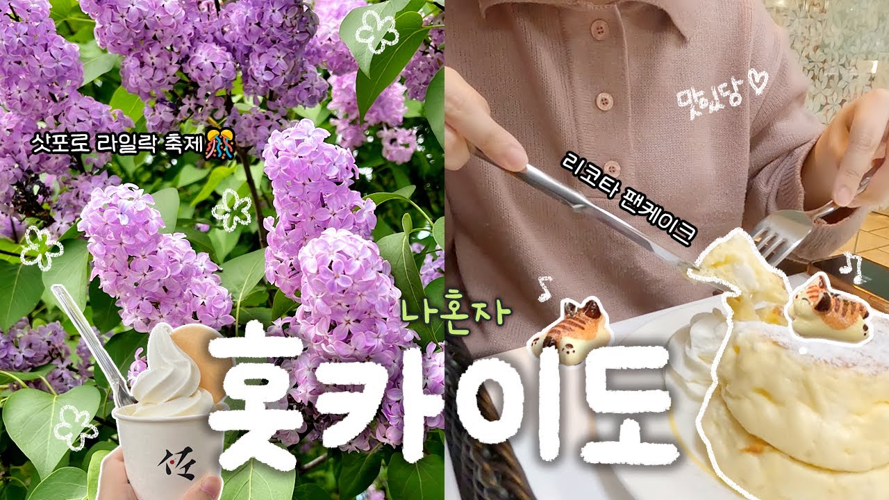 🇯🇵 나혼자 홋카이도 여행 #2 | 5월 삿포로 라일락 축제🪻 | 마루야마 공원에서 힐링☘️ | 혼모노 코노야로.. 유명음식점에서 생긴 일  [진투어]