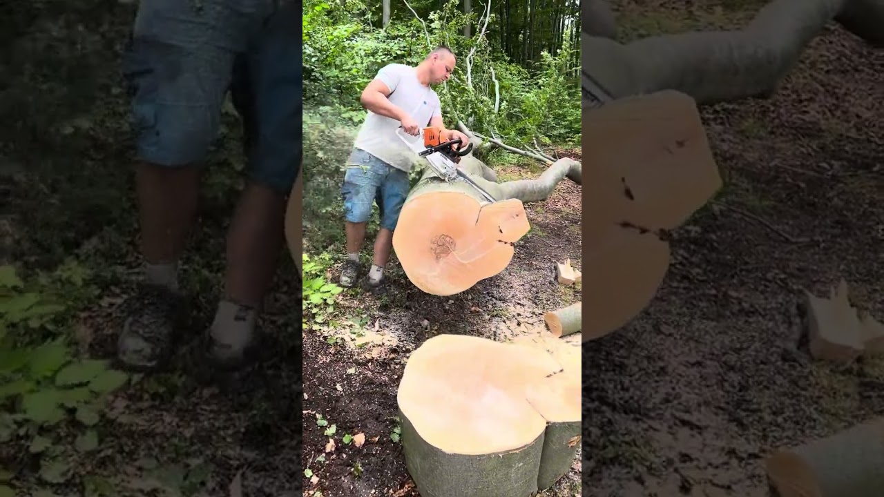 Stihl ms 500i