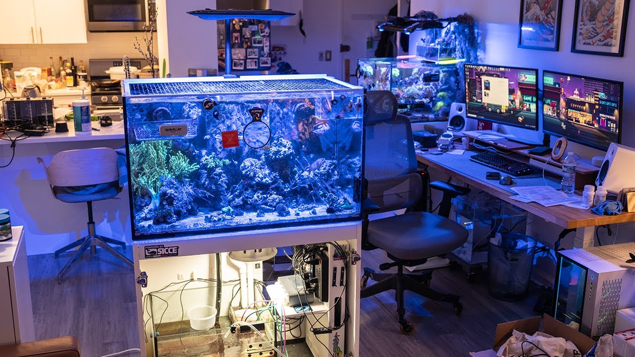Red Sea Reefer 250 Reef Aquarium Tank Move!