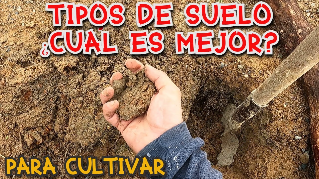TIPOS DE SUELOS ¿ CUÁL ES MEJOR PARA TU CULTIVO O HUERTO? CARACTERISTICAS DE CADA SUELO