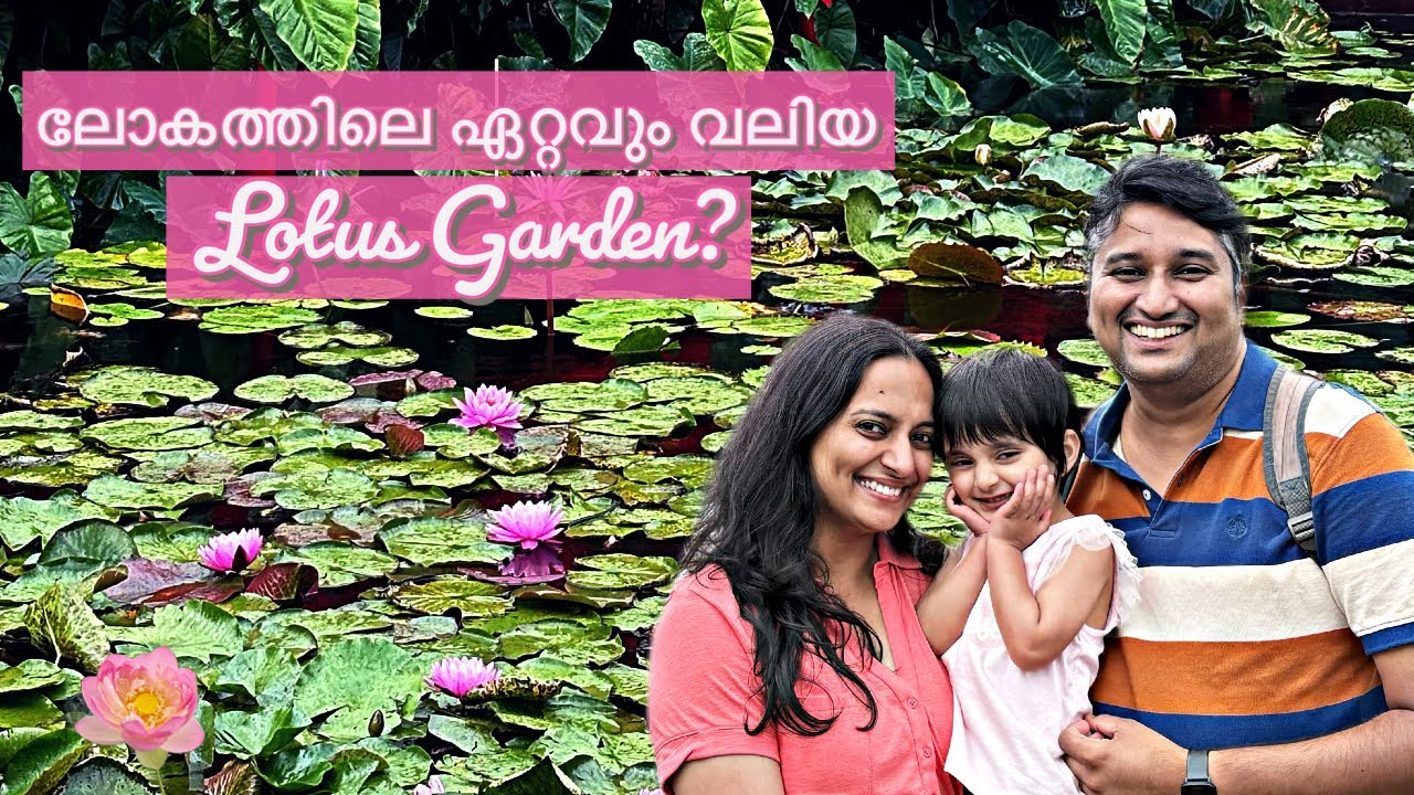 Blue Lotus Water Garden | Melbourne 2025
