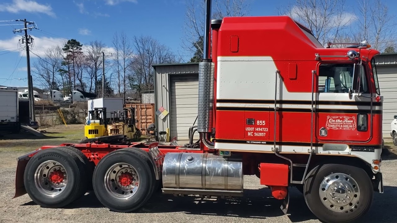 BJ and the Bear tribute truck walk around