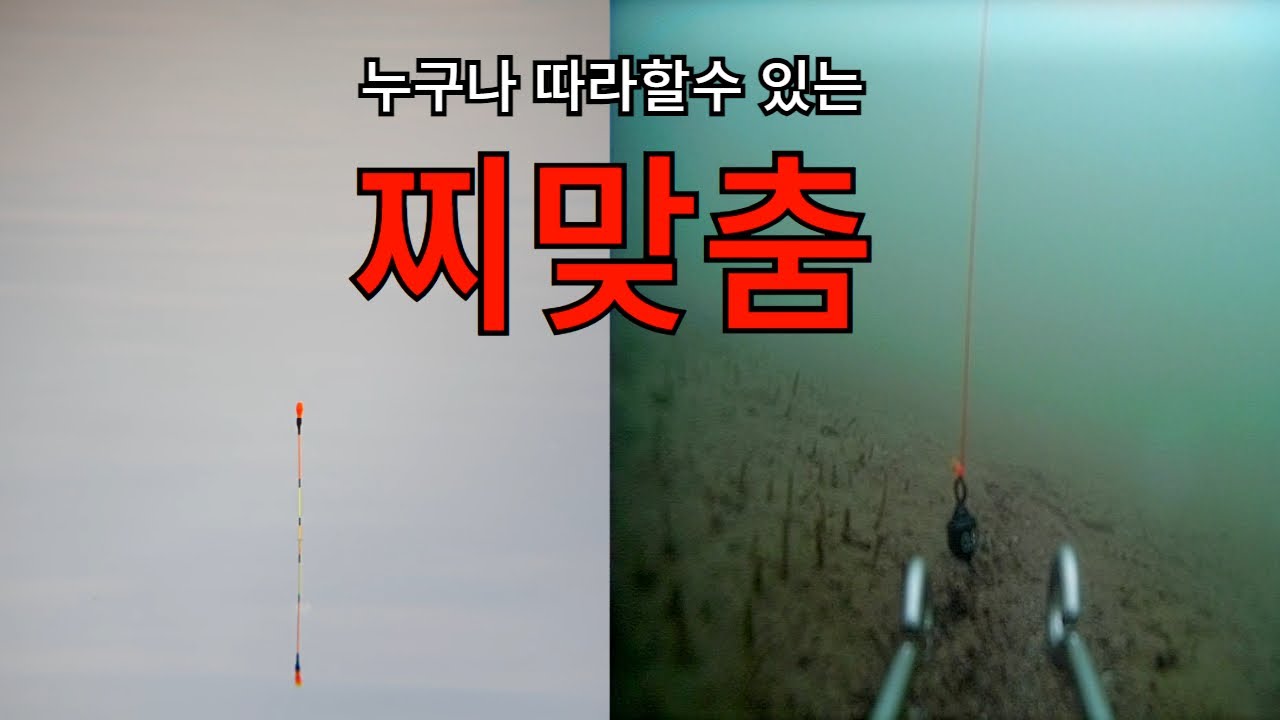 수중영상을 보면서 하는 찌맞춤