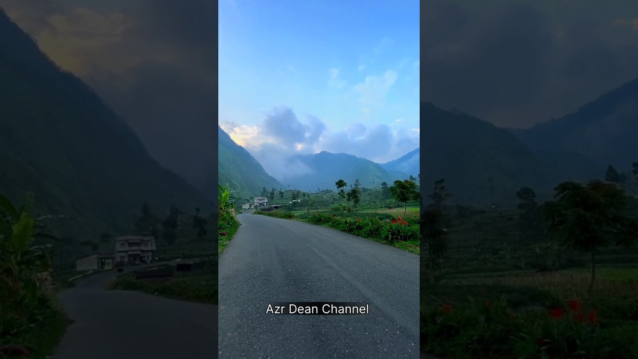 SWISS VAN JAVA WONOSOBO #dieng #wisatajawatengah #shorts #travelvlog #swissvanjava