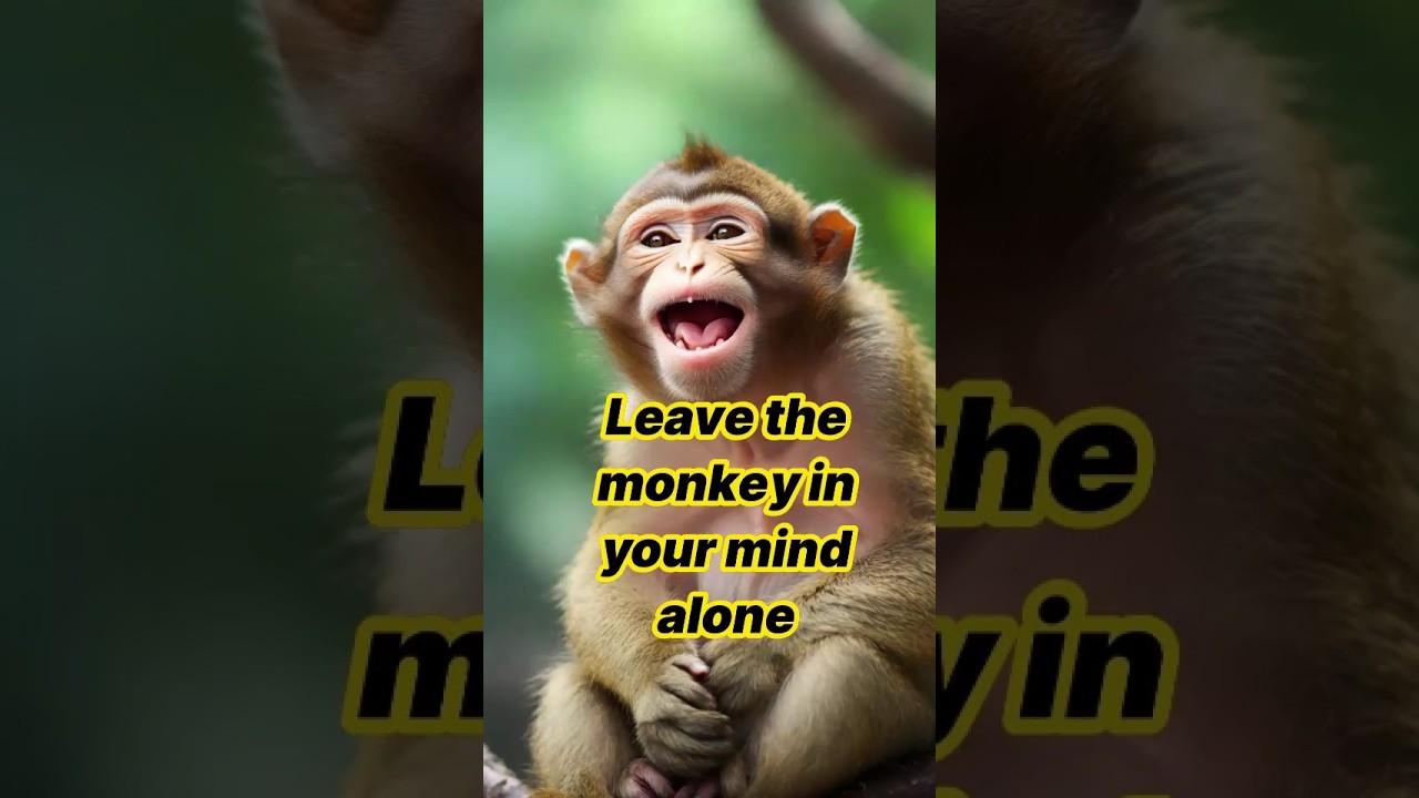 Leave the monkey in your mind alone. #shortsvideo