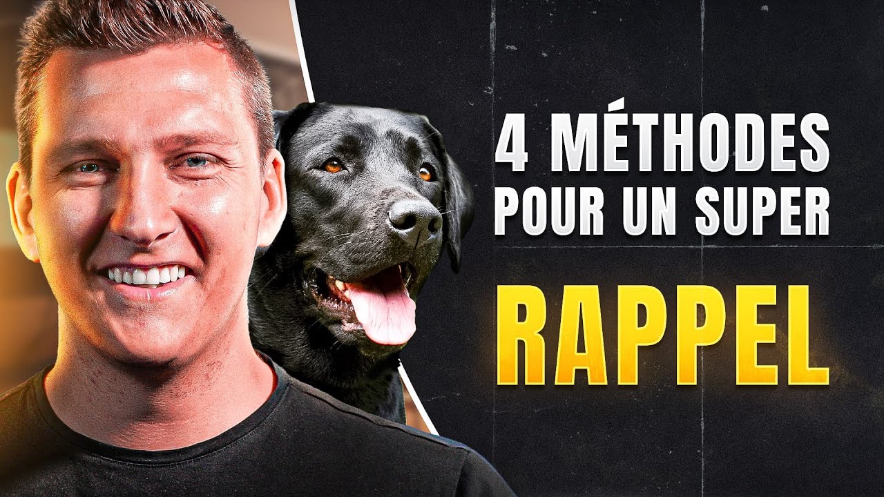 Apprendre le rappel pour chien : 4 techniques efficaces !