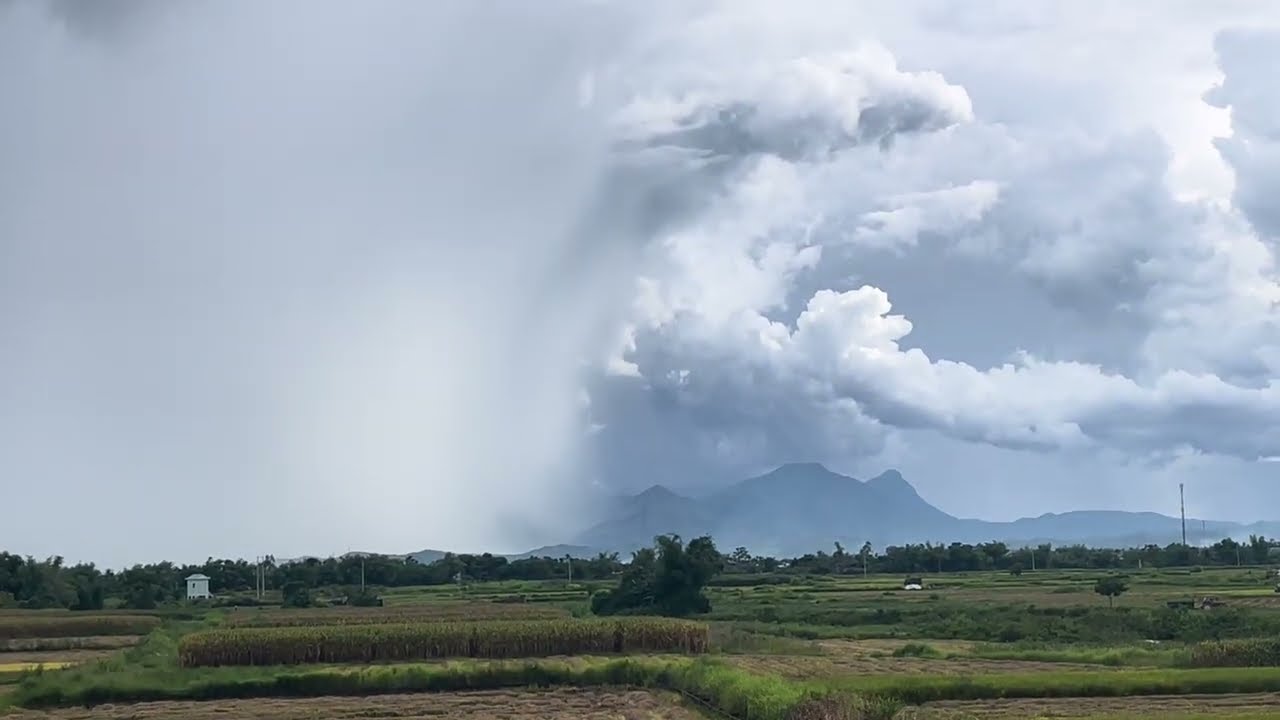 Vietnam Expat - Once again down on the farmstead- we’re 1 year In 